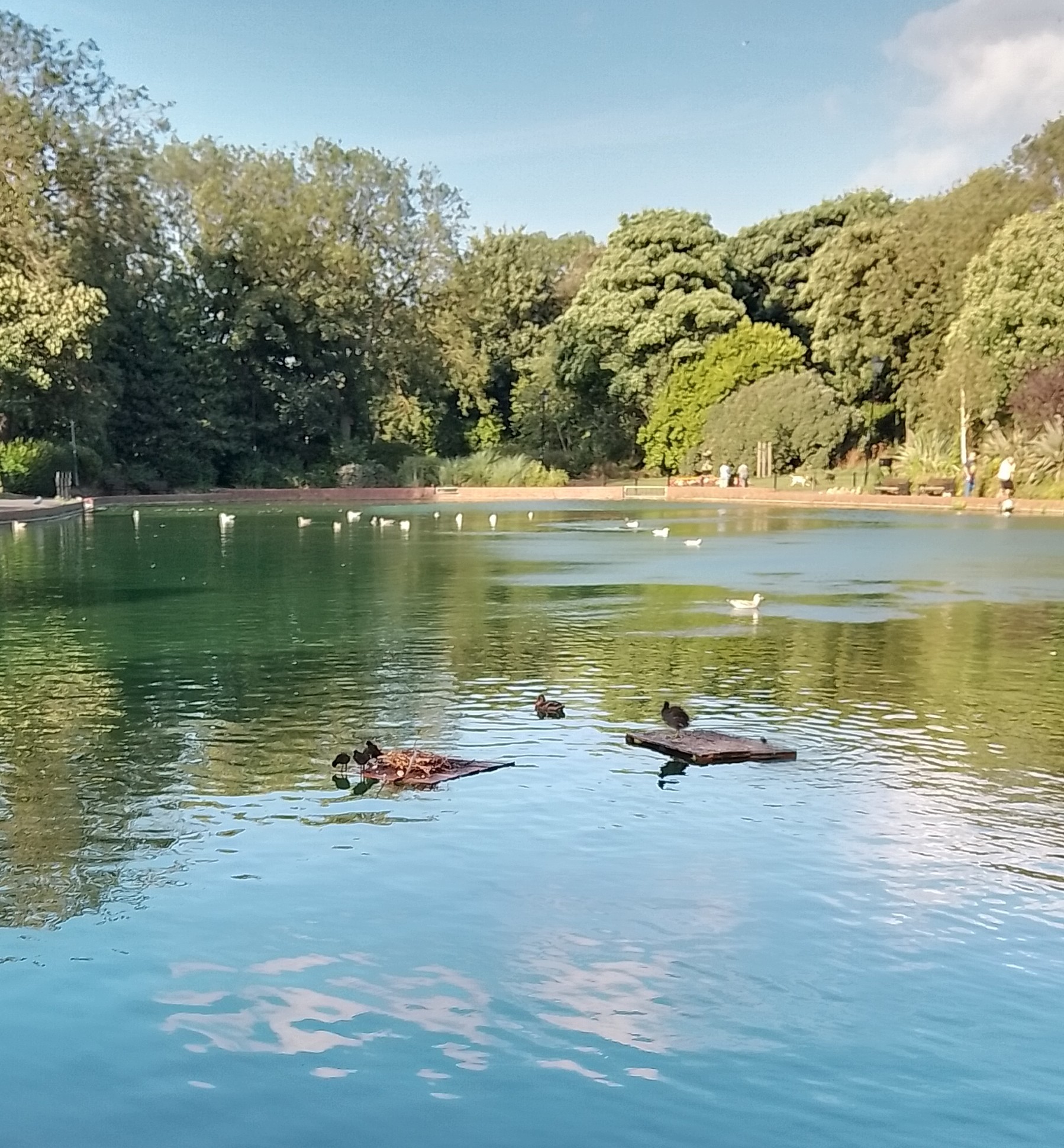 roker park lake