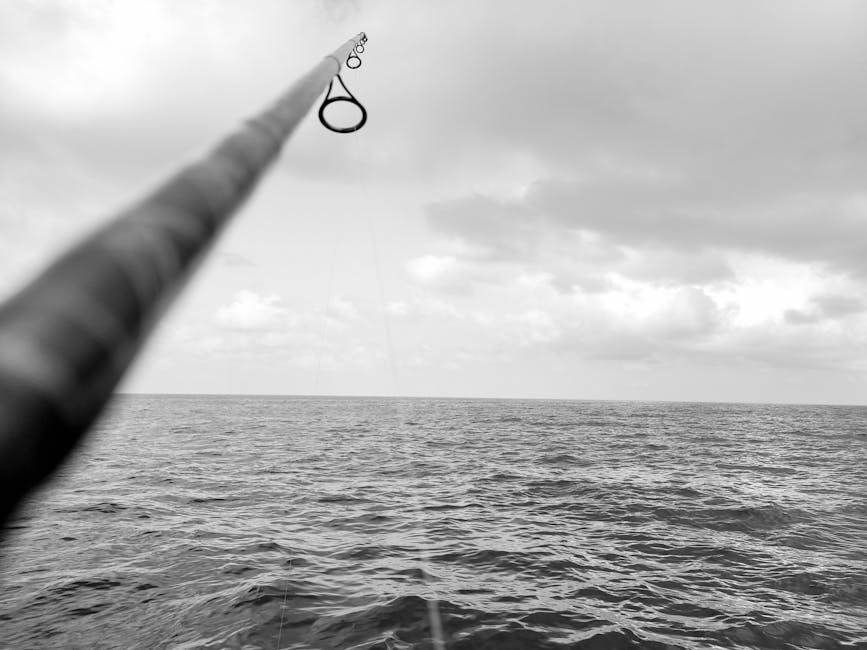 Best surf fishing line – Best Surf Fishing Line: Tips for Sea Fishing off the Sunderland Coast