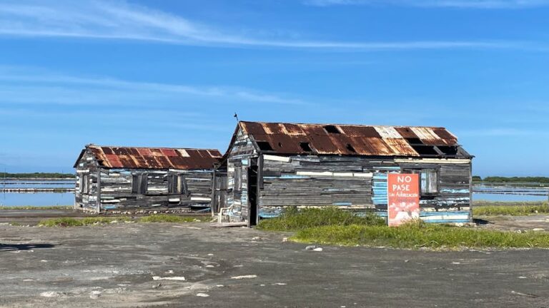 reclaimed wood shed ideas – Sea Fishing off Sunderland Coast: Best Rod Tips