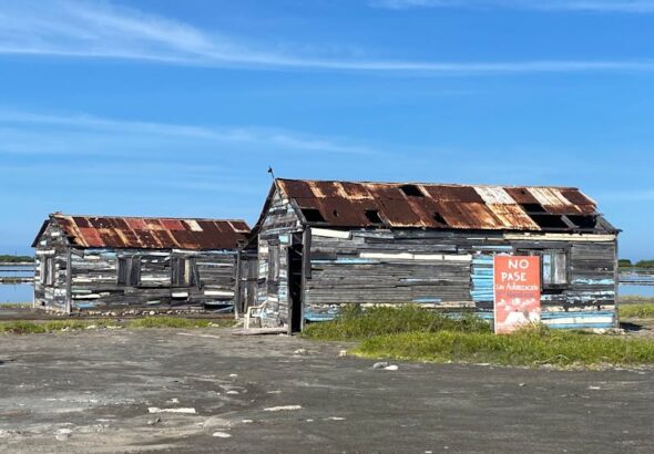 reclaimed wood shed ideas – Sea Fishing Off Sunderland Coast: Best Rod Tips and Reclaimed Wood Shed Ideas