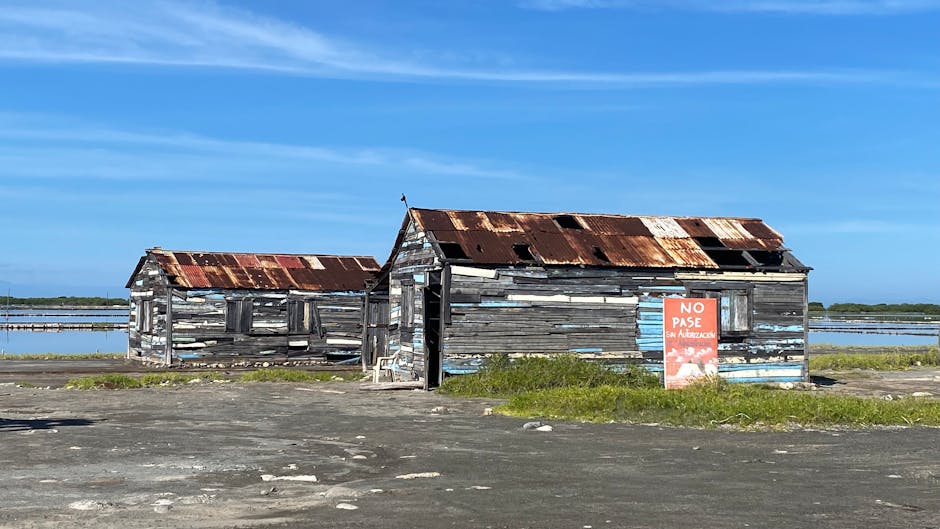 reclaimed wood shed ideas – Sea Fishing Off Sunderland Coast: Best Rod Tips and Reclaimed Wood Shed Ideas