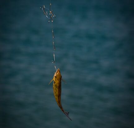 Sea Fishing line bait – Top Tips for Sea Fishing off the Sunderland Coast: Perfecting Your Line and Bait