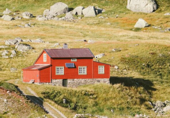 shed foundation on a budget – Sea Fishing off Sunderland Coast: Best Rod Tips for Budget-Friendly Adventures