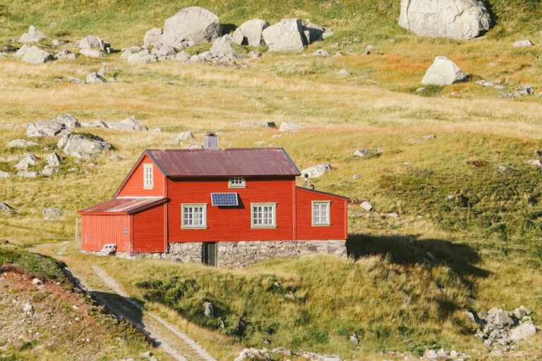 shed foundation on a budget – Sea Fishing off Sunderland Coast: Best Rod Tips for Budget-Friendly Adventures