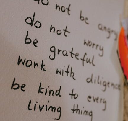 things to do in Sunderland – Discovering Sunderland: A Visit to Fulwell Windmill and Beyond