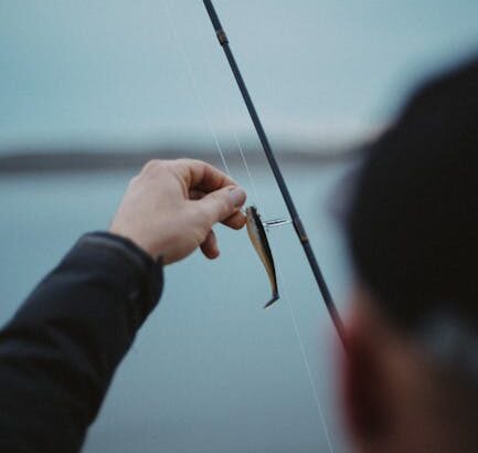 Sea Fishing line bait – Sea Fishing Off Sunderland Coast: Best Rod Tips and Bait Strategies