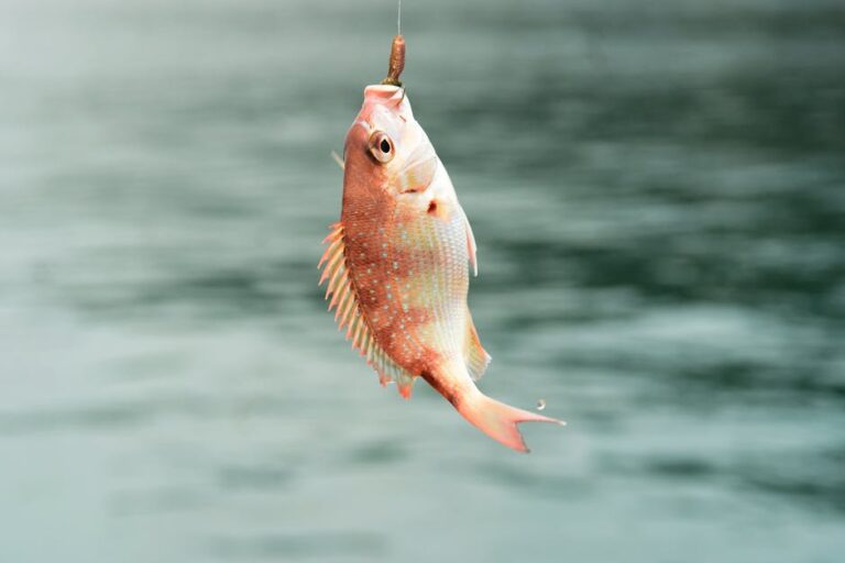 Sea Fishing line bait – Sea Fishing off the Sunderland Coast: Best Rod Tips and Bait Choices