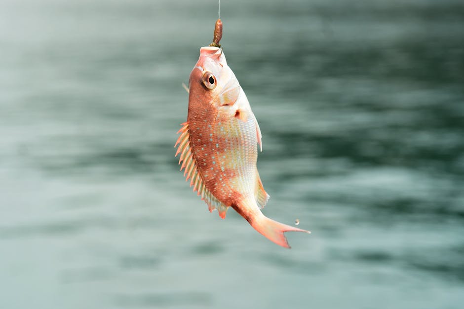 Sea Fishing line bait – Sea Fishing off the Sunderland Coast: Best Rod Tips and Bait Choices