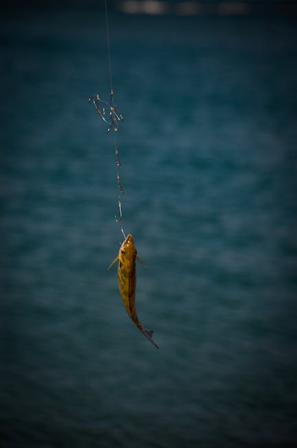 Sea Fishing line bait – Sea Fishing Off Sunderland Coast: Best Rod Tips for Success