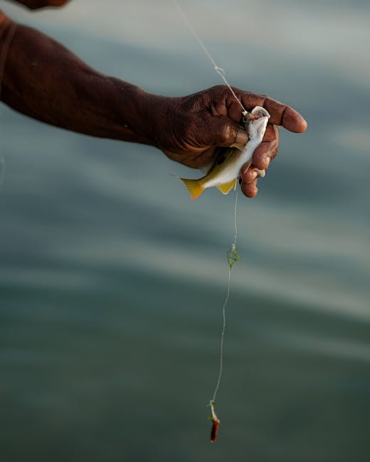 Sea Fishing line bait – Sea Fishing off Sunderland Coast: Best Rod Tips and Bait Choices