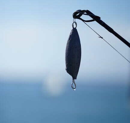 Sea Fishing line bait – Sea Fishing Off Sunderland Coast: Best Rod Tips