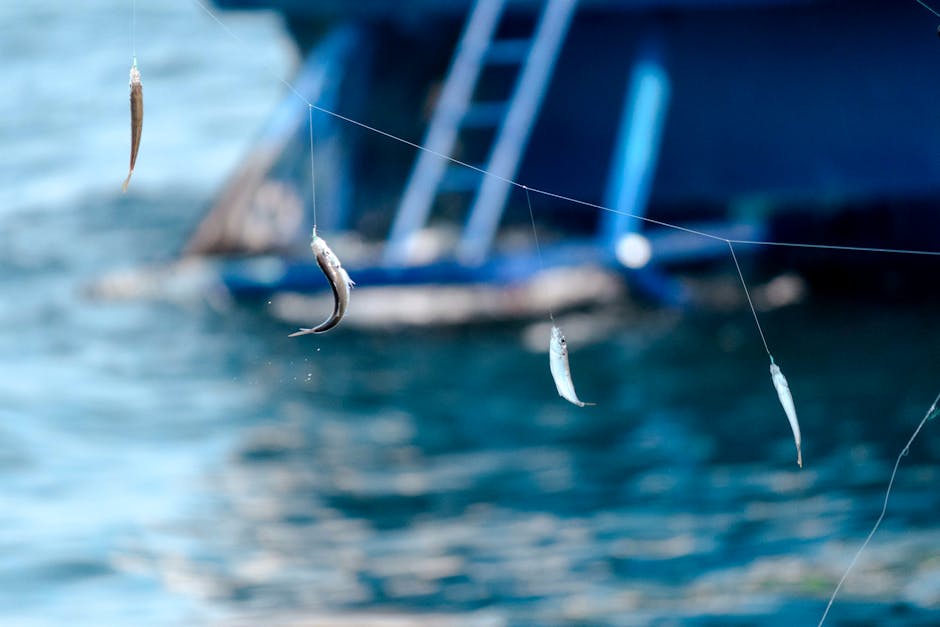 Sea Fishing line bait – Sea Fishing off Sunderland Coast: Best Rod Tips and Bait Choices