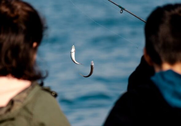 Sea Fishing line bait – Expert Tips for Sea Fishing off the Sunderland Coast: Best Rod Techniques and Bait Choices
