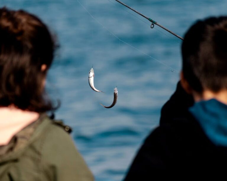 Sea Fishing line bait – Expert Tips for Sea Fishing off the Sunderland Coast: Best Rod Techniques and Bait Choices