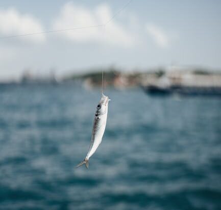 Sea Fishing line bait – Sea Fishing off the Sunderland Coast: Rod Tips and Best Bait Choices