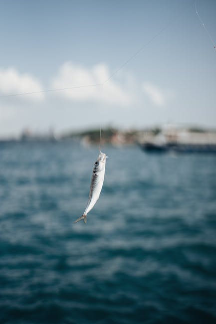 Sea Fishing line bait – Sea Fishing off the Sunderland Coast: Rod Tips and Best Bait Choices