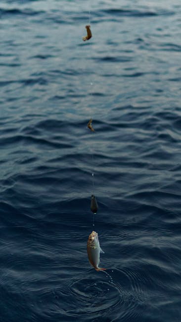 Sea Fishing line bait – Top Rod Tips for Sea Fishing Off the Sunderland Coast