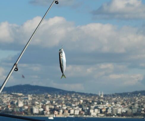 Sea Fishing line bait – Top Tips for Sea Fishing off the Sunderland Coast: Mastering Line and Bait Techniques