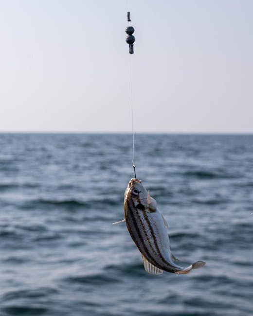 Sea Fishing line bait – Sea Fishing off Sunderland Coast: Best Rod Tips for Using Sea Fishing Line Bait